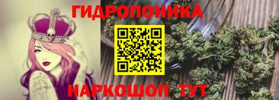 2c-b Будённовск