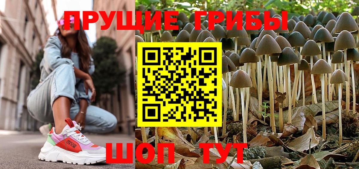 Унеча  как найти закладки  Вход с VPN  Псилоцибиновые грибы GOLDEN TEACHER 