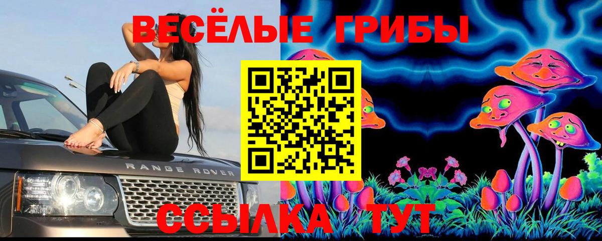 Галлюциногенные грибы Cubensis Унеча